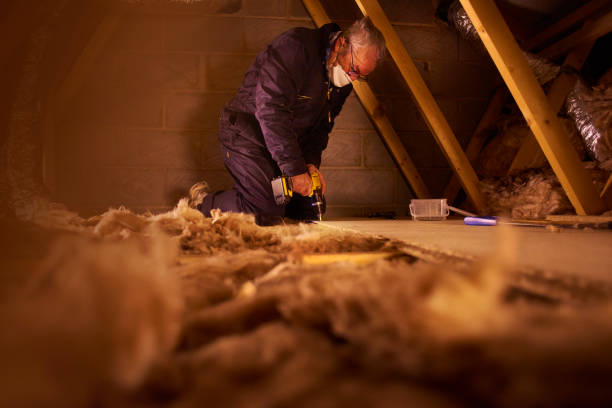 Best Batt and Roll Insulation  in Laguna Park, TX